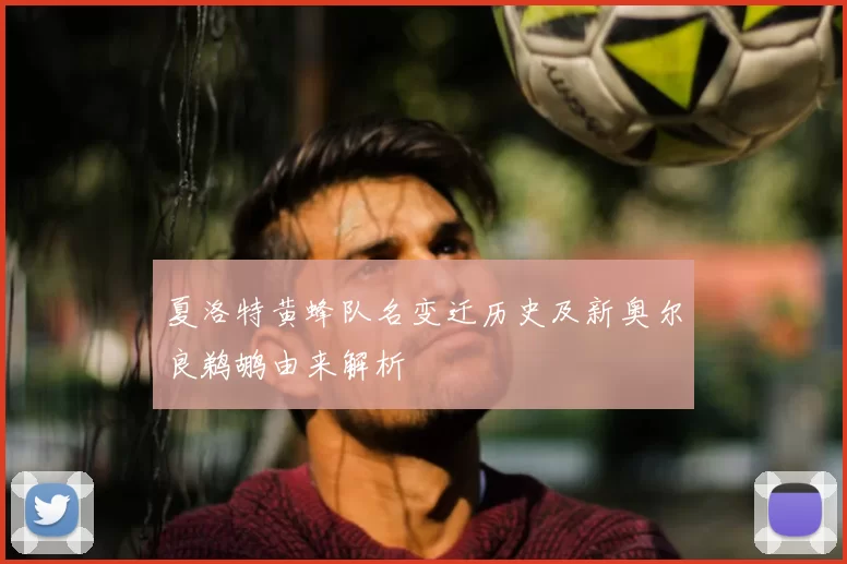夏洛特黄蜂队名变迁历史及新奥尔良鹈鹕由来解析