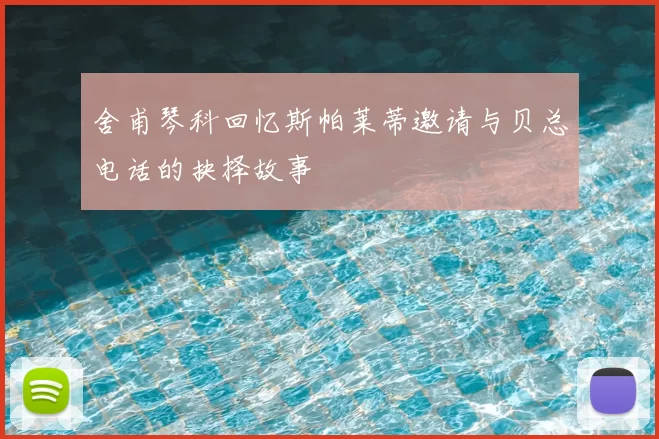 舍甫琴科回忆斯帕莱蒂邀请与贝总电话的抉择故事