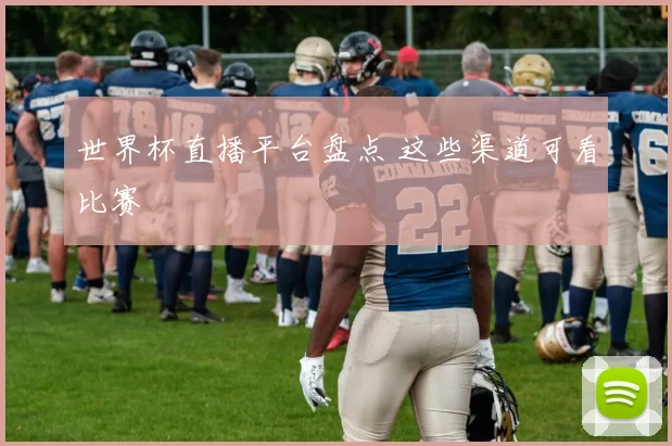 世界杯直播平台盘点 这些渠道可看比赛