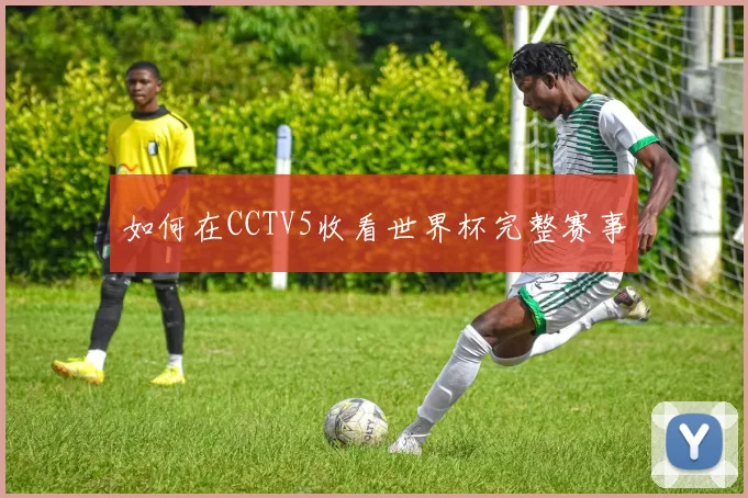如何在CCTV5收看世界杯完整赛事