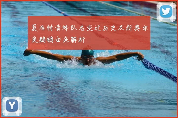夏洛特黄蜂队名变迁历史及新奥尔良鹈鹕由来解析