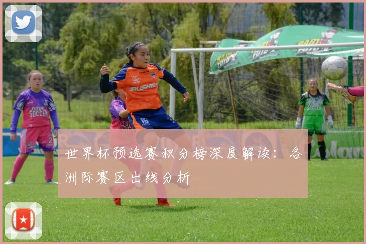 世界杯预选赛积分榜深度解读:各洲际赛区出线分析