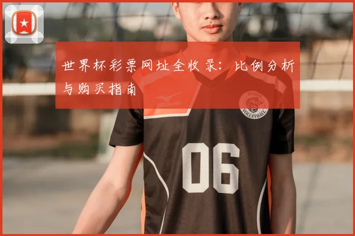 世界杯彩票网址全收录:比例分析与购买指南