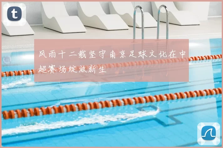 风雨十二载坚守南京足球文化在中超赛场绽放新生