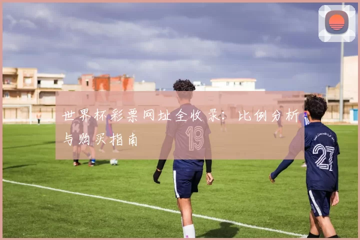 世界杯彩票网址全收录：比例分析与购买指南