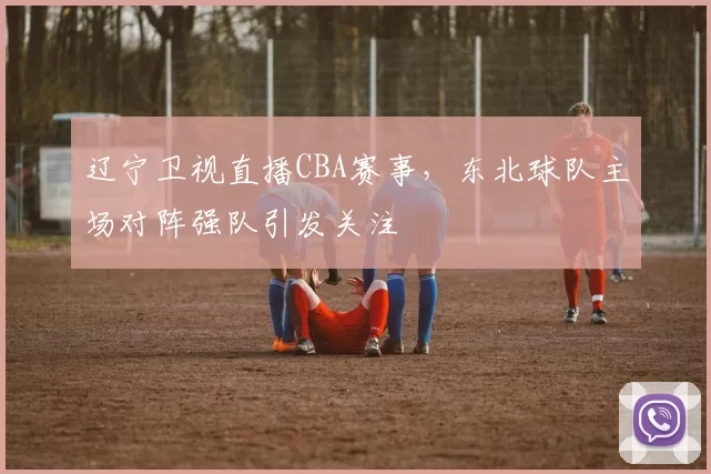 辽宁卫视直播CBA赛事,东北球队主场对阵强队引发关注