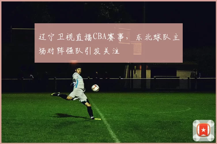 辽宁卫视直播CBA赛事,东北球队主场对阵强队引发关注