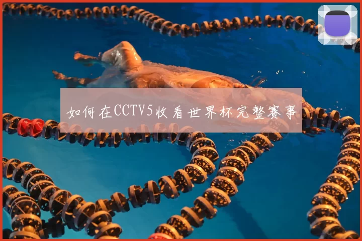 如何在CCTV5收看世界杯完整赛事