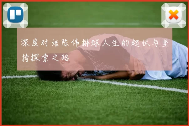 深度对话陈伟排球人生的起伏与坚持探索之路