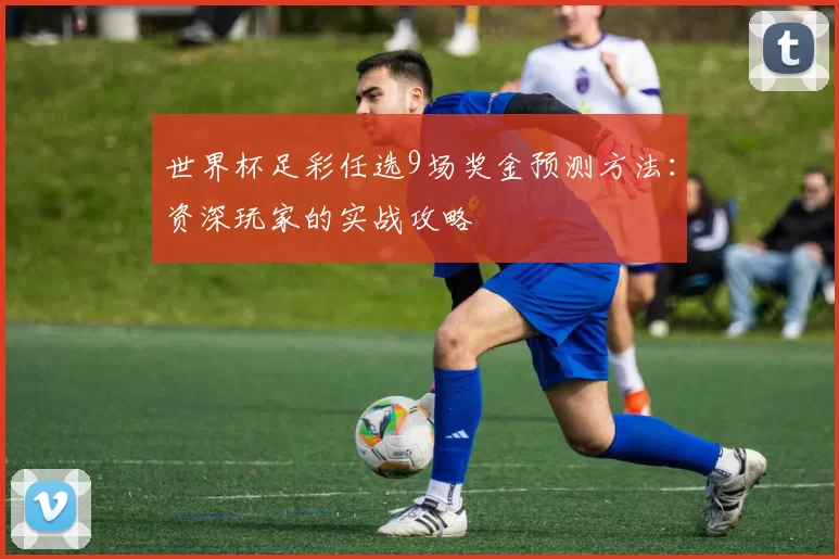 世界杯足彩任选9场奖金预测方法：资深玩家的实战攻略